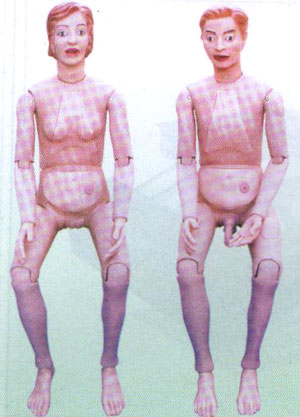 MON382 Nurse Training Doll (Female & male)
