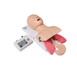 MON354 ADVANCED ENDOTRACHEAL INTUBATION MODEL