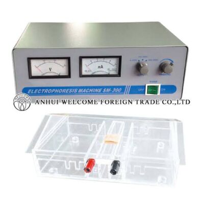 MS099 ANALOGUE ELECTROPHORESIS MACHINE WITH TANK