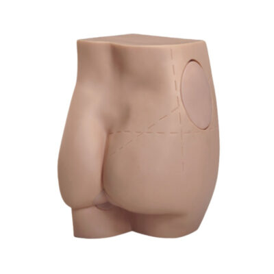 MON360 ECONOMIC INJECTION BUTTOCK MODEL