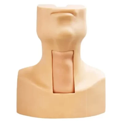MON355 ENDOTRACHEAL INTUBATION MODEL