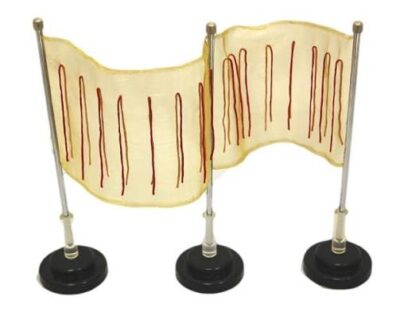 MON469 SCREEN ELECTROSCOPE