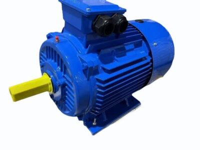 MON539 THREE PHASE INDUCTION MOTOR MODEL