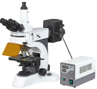 MON809 FLUORESCENT MICROSCOPE