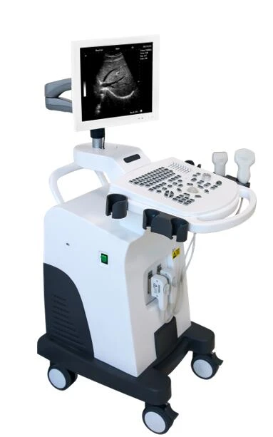 MON816 SUPER DIGITAL ULTRASOUND SCANNER